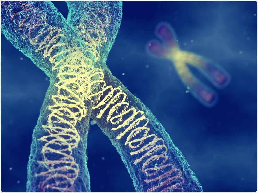 Chromosomes Chromosomes