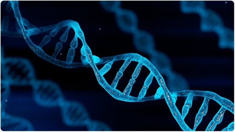 Researchers develop new method to detect the role of enigmatic gene sequences