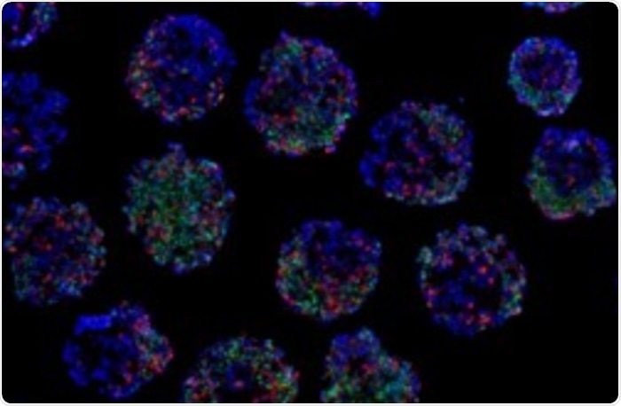 Novel ways to increase SC-beta cell’s survivability and functioning via genetic manipulation