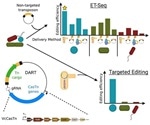 A fresh perspective on genome-editing tools, likely to help microbial communities