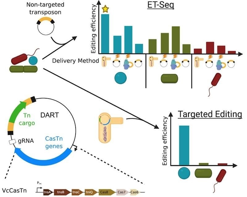 A fresh perspective of genome editing tools, likely to help microbial communities