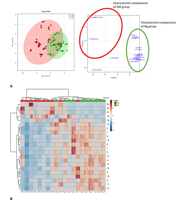Researchers study how metabolomic assessment finds postmortem biomarkers indicating decedent’s diabetes mellitus history