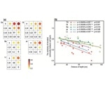 Scientists examine the role of soil layer in maintaining soil bacterial diversity and composition