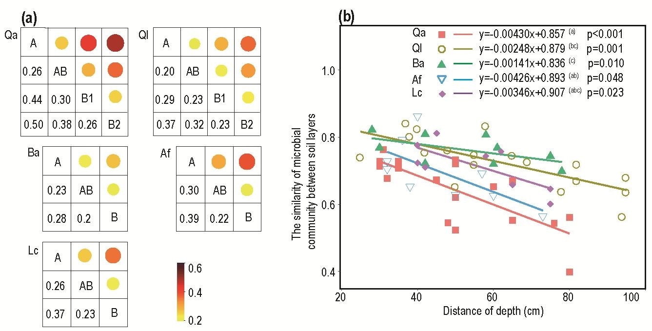 Scientists examine the role of soil layer in maintaining soil bacterial diversity and composition