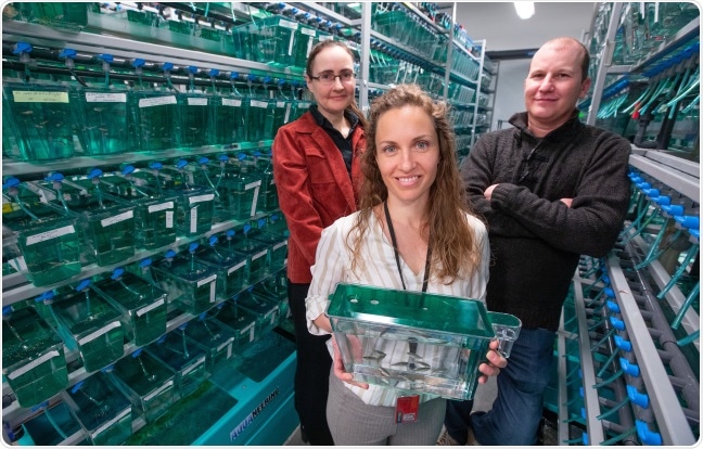 ISU researchers receive major funding to go forward on blood stem cells research