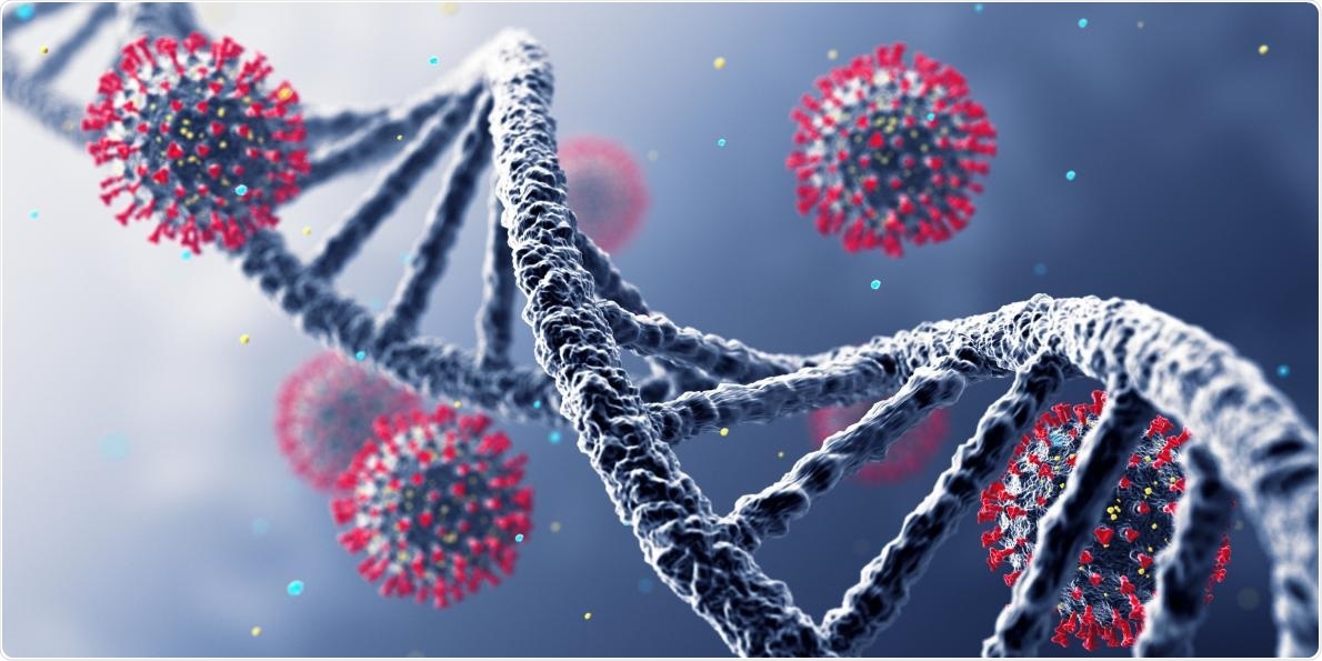 Study provides insights into the biological mechanisms behind the severe form of COVID-19