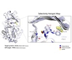 Researchers show how hotspot maps can detect structures contributing to compounds’ selectivity