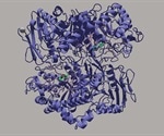Experts provide novel insights into complex sugar metabolism