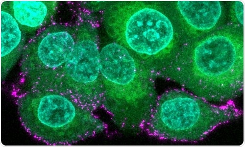 Several variants of covid-19 may hide away from body’s immune system, new study reveals