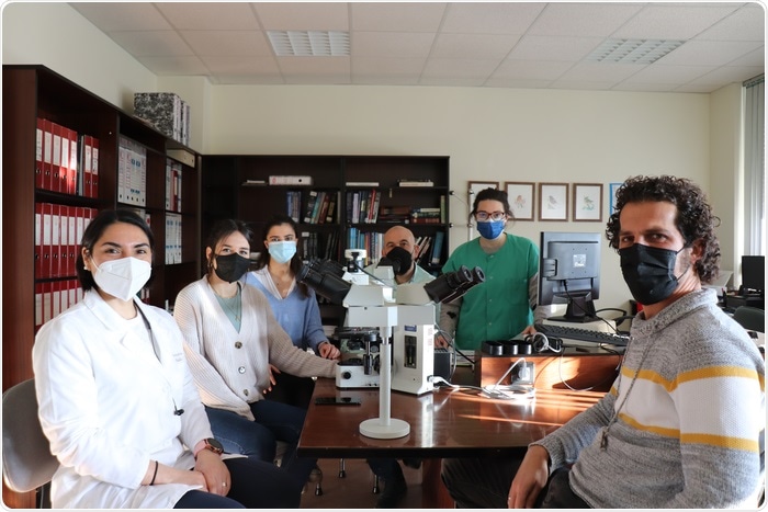 Study identifies the role of three key molecules in the immune defense against porcine reproductive and respiratory syndrome virus