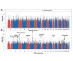 New research demonstrates genetic markers in leadership positions