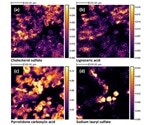 Researchers conduct a detailed study of skin layer, likely to assist in new products and treatments