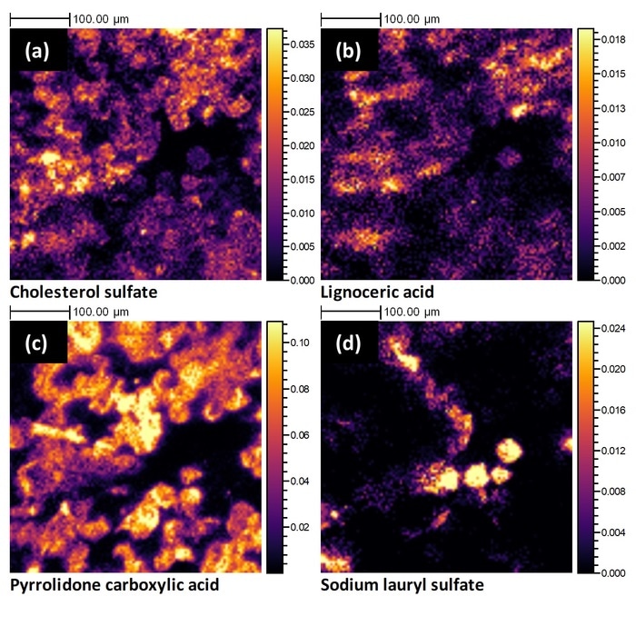 Researchers conduct a detailed study of skin layer, likely to assist in new products and treatments