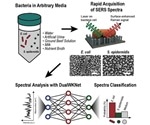 Researchers develop a meaningful universal platform to identify multiple bacteria in seconds