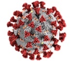 Study shows how the immune system effectively combats coronavirus to prevent pneumonia