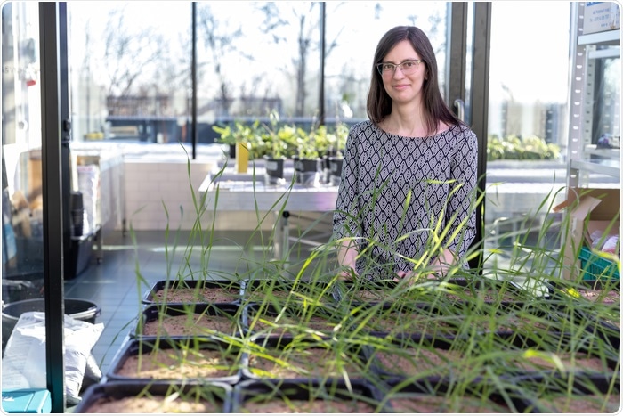 Research investigates the effect of land-use change on plant-soil interactions