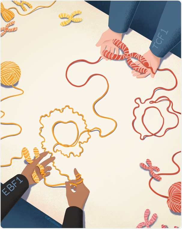 Researchers find an epigenetic adaptation showing resistance to targeted therapy in T cell leukemia