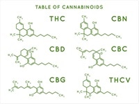 Cannabinoids and Obesity