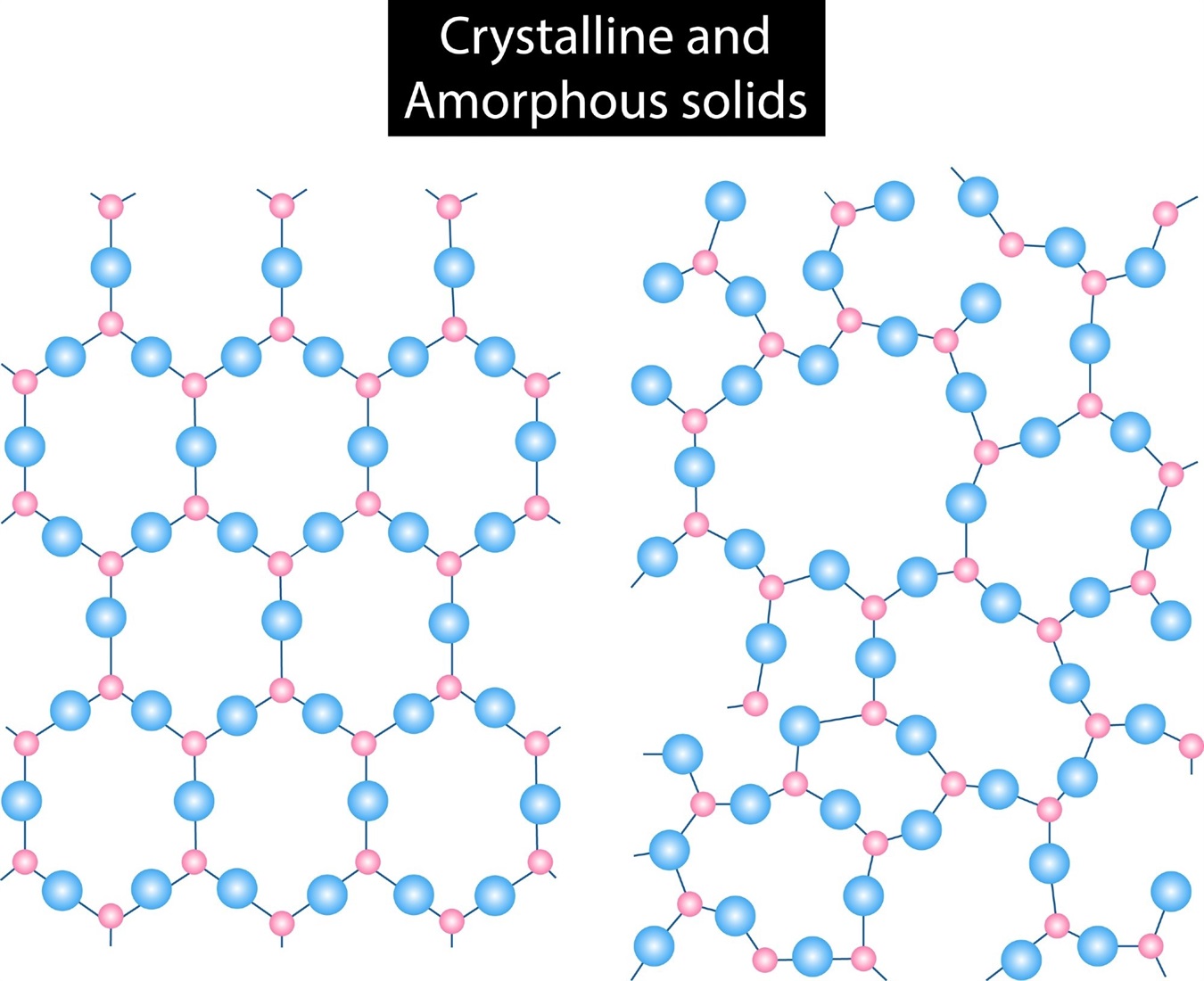 What are Polymorphs?