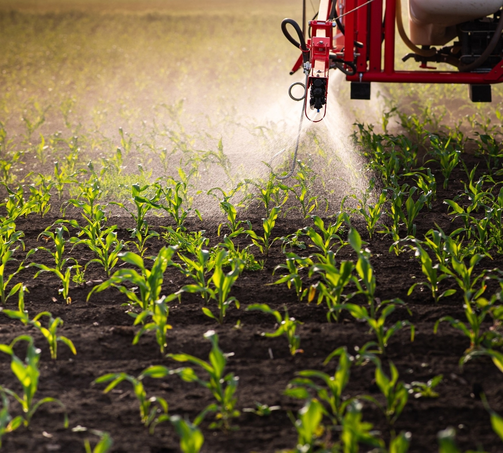 Global Review Shows Alarming Impacts of Pesticides on Biodiversity and ...