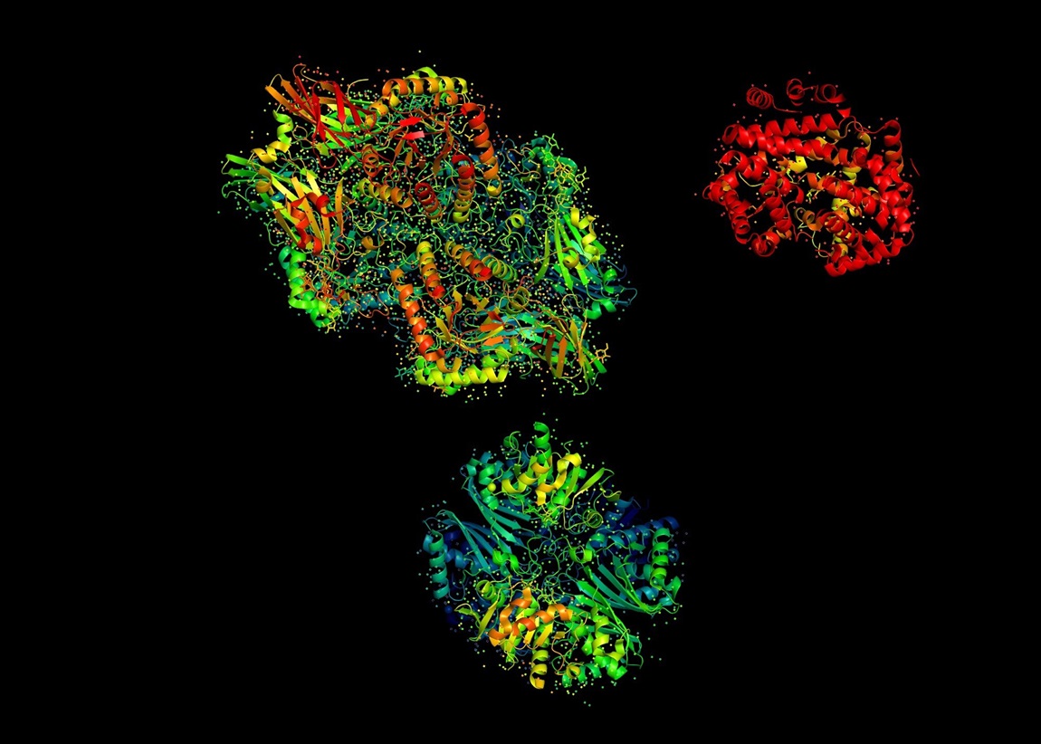 Spatial Proteomics: Mapping Proteins in Cells & Tissues