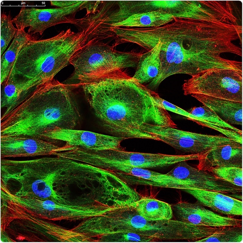 What is Confocal Imaging?