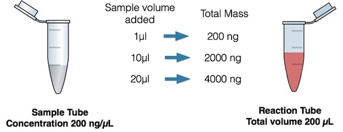 azolifesciences