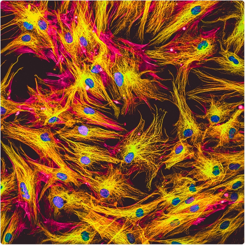 Quantum Dots as Molecular Probes for Fluorescence Microscopy