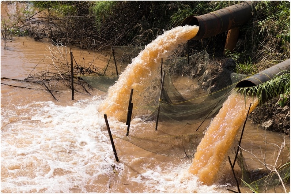 A Cork Allows The Removal Of Polluting Water Waste