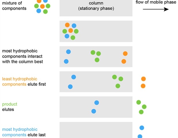 Difference Between Reverse Phase And Normal Phase Hplc Compare The Difference Between Similar Terms