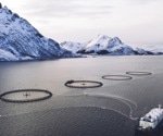 Insight into the Biggest Challenges Faced by the Aquaculture Industry