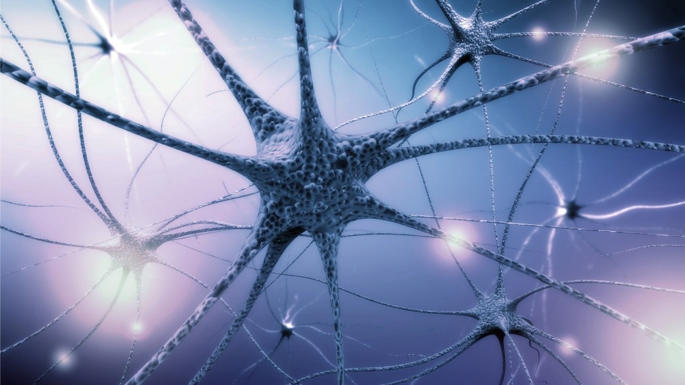 Neurotransmitter