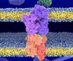 How Important are Host-Specific Genes to Immune responses?