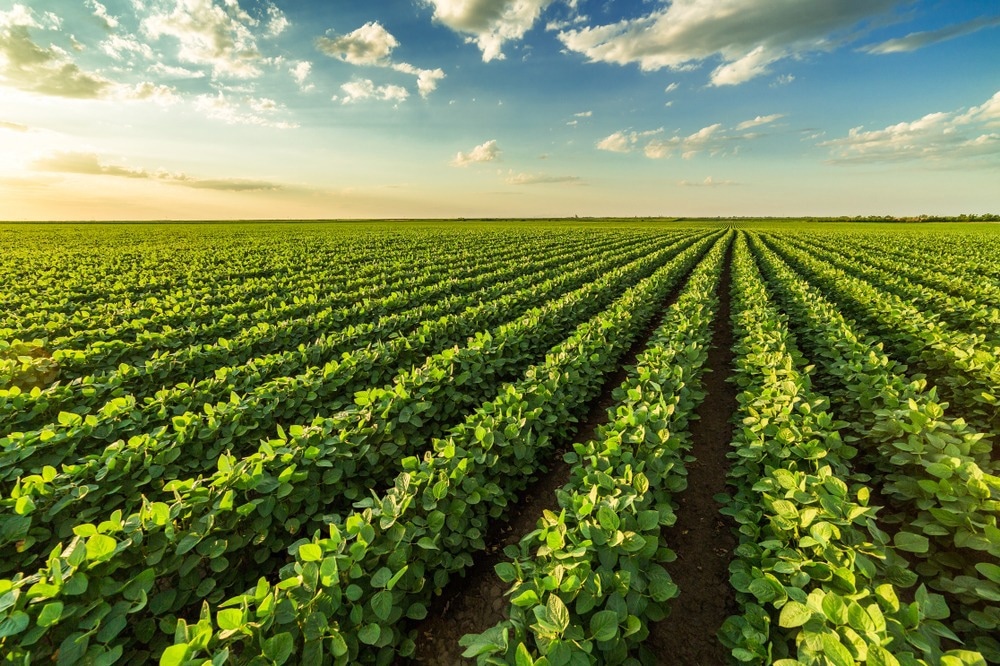 Crops