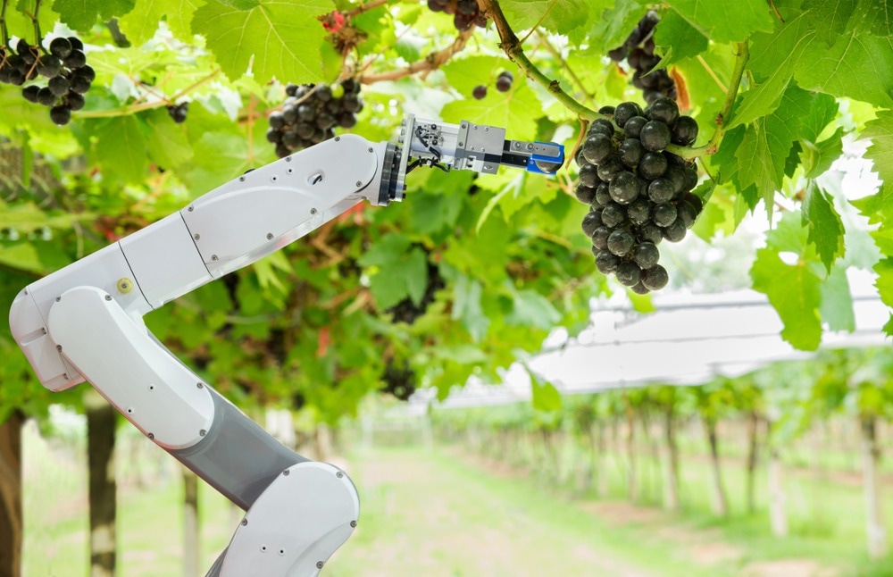 Agricultural Robot