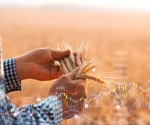 Importance of Accurate Yield Predictions in Agriculture