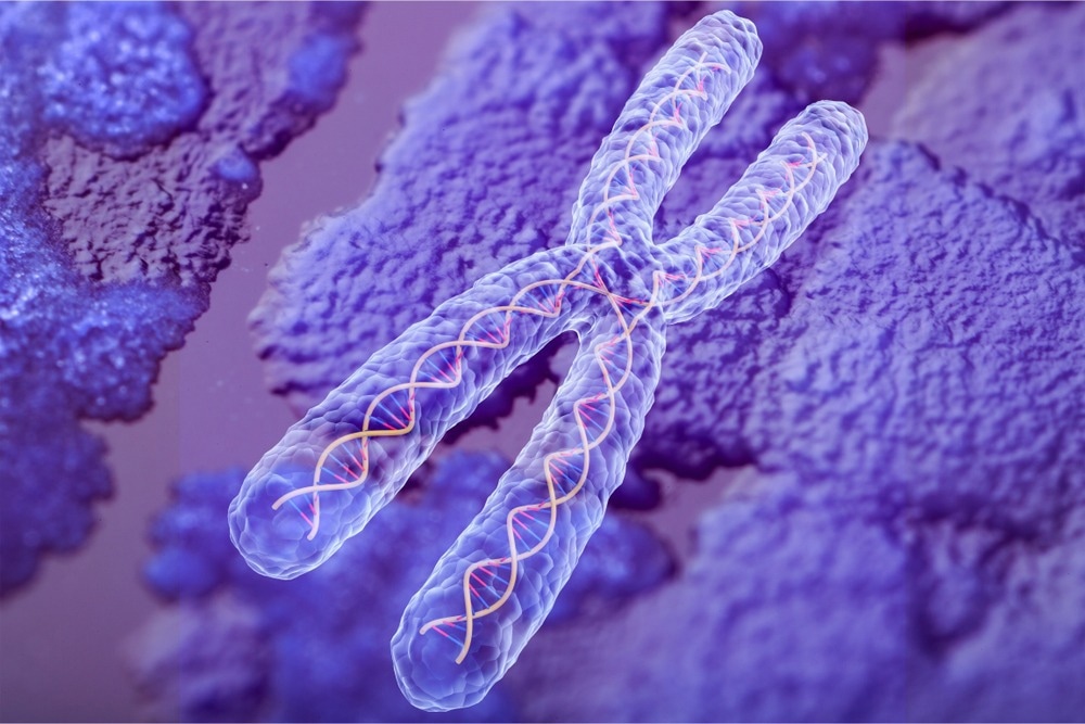 Chromosome
