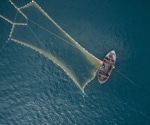 Insight into the Challenges of the Seafood Industry