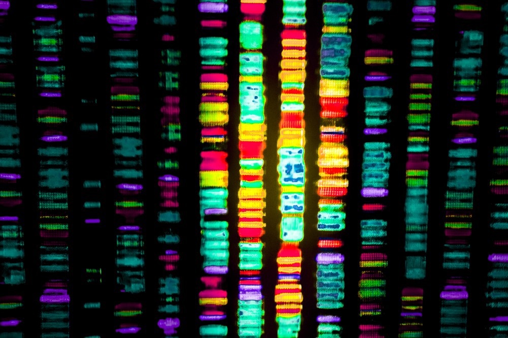 DNA Sequence