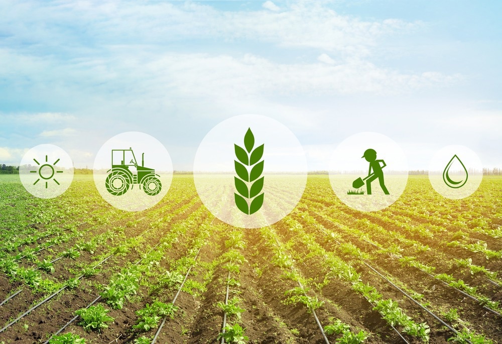 Food Production