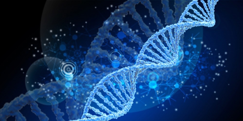Genome