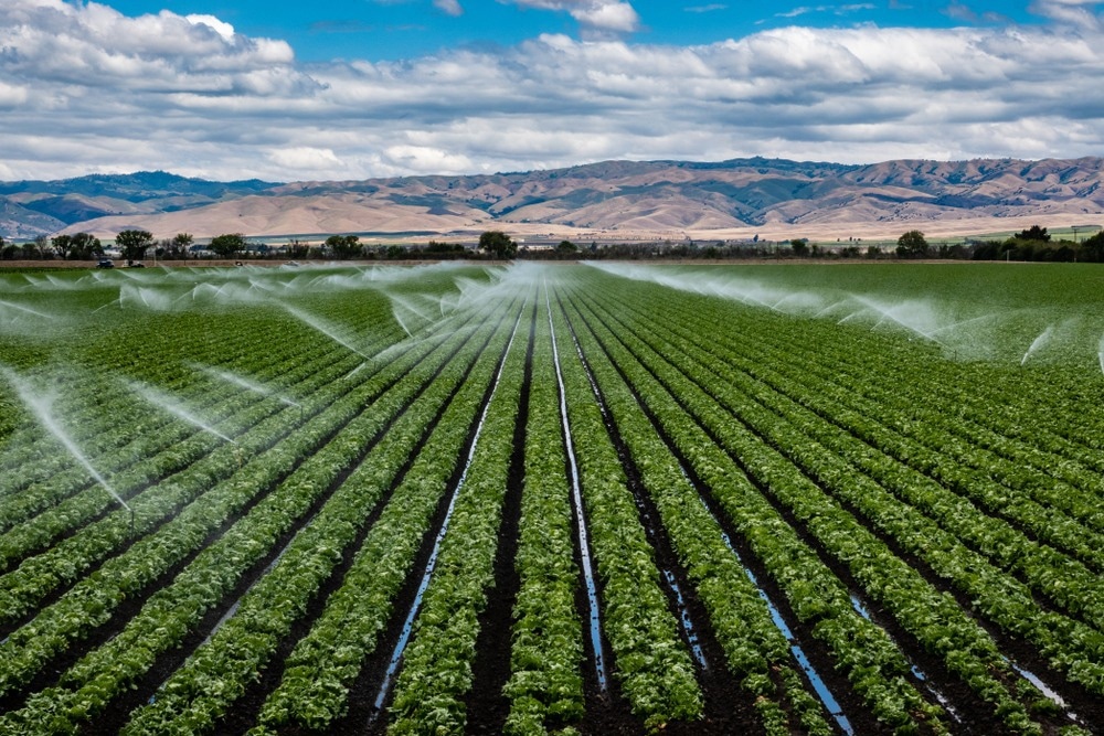 Agricultural Irrigation