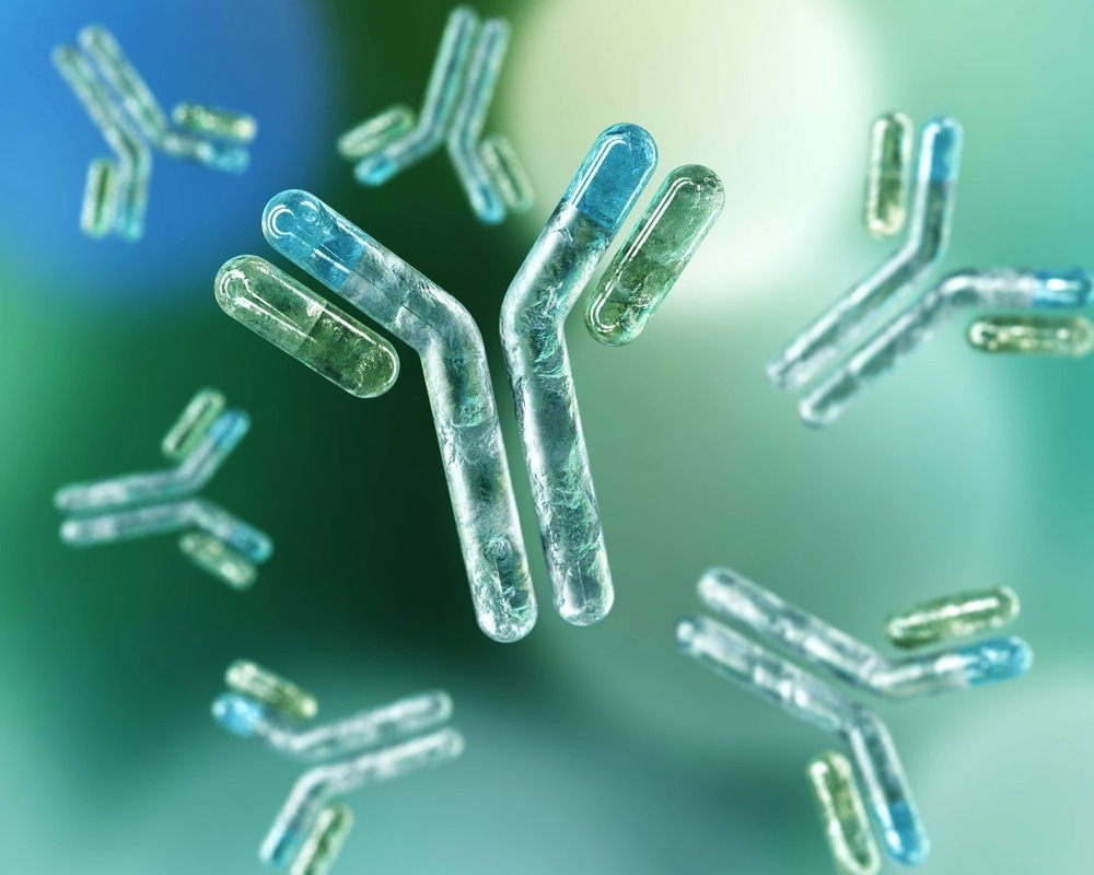 Antibodies