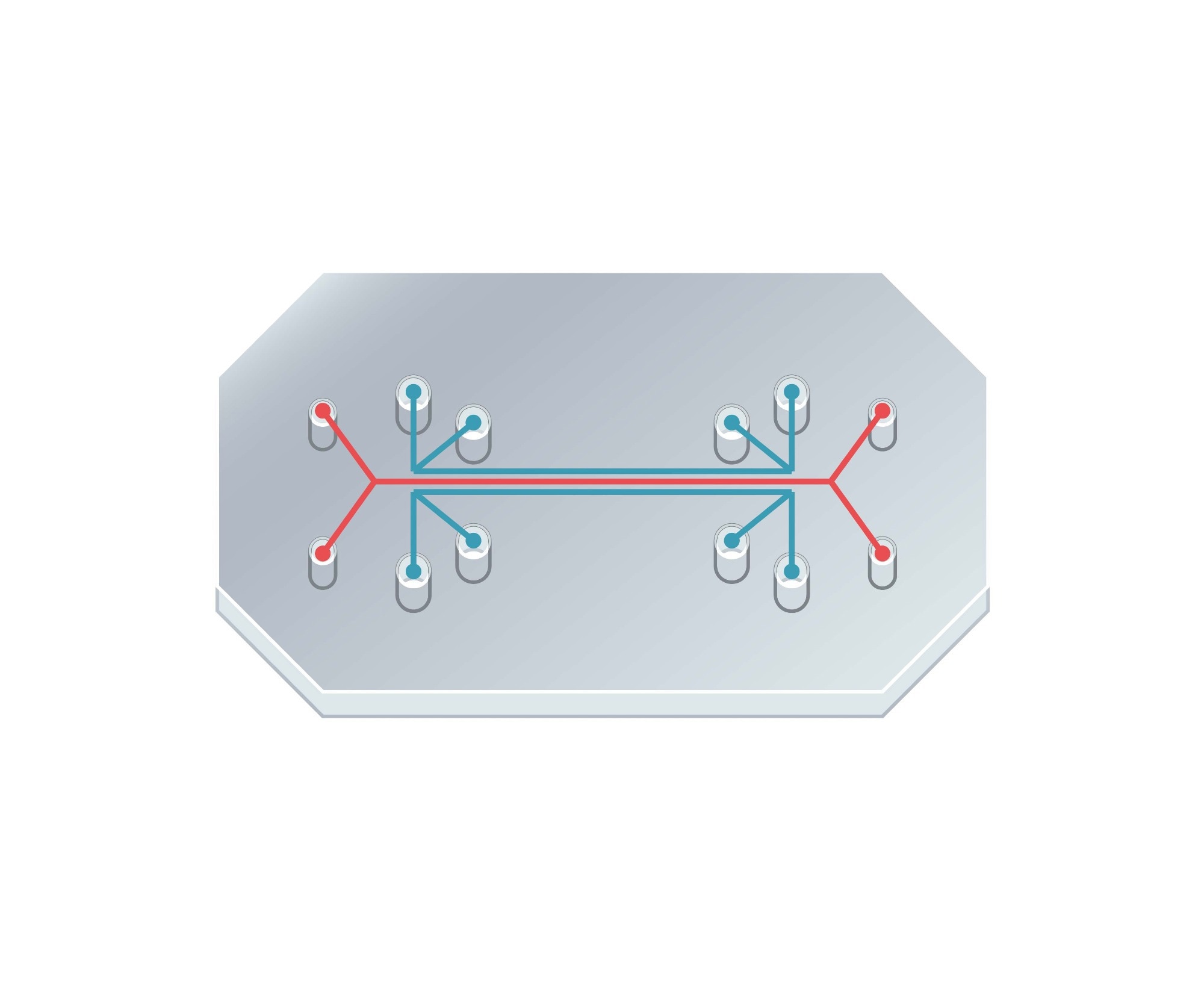 Organ-On-A-Chip