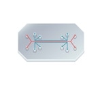 Global Market Overview: Organ-on-a-Chip