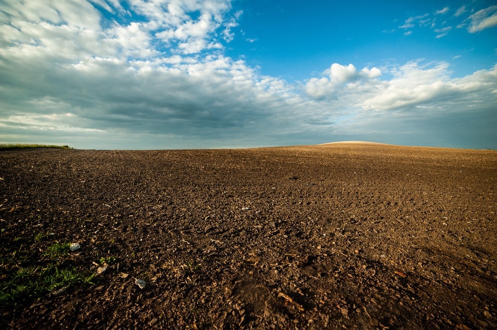 Soil