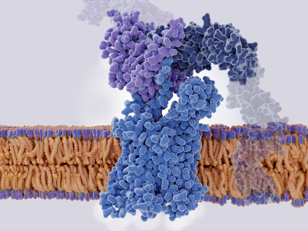 Chemokine
