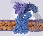 Chemokines: A Guide