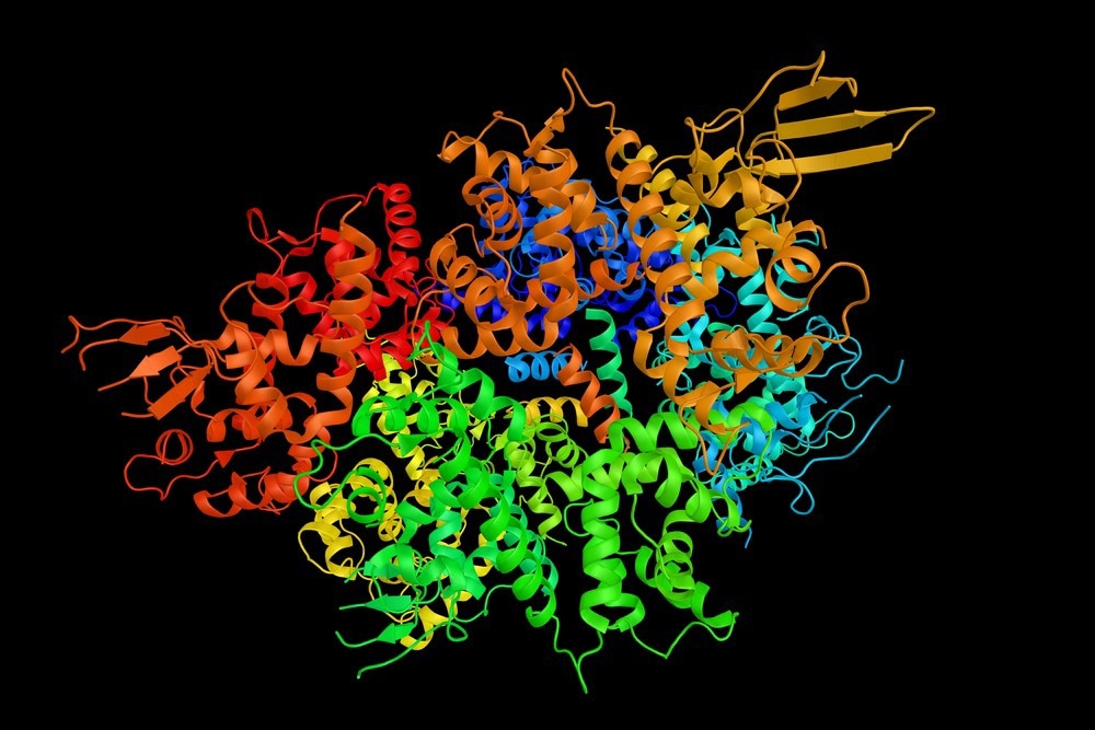 Autoantigen