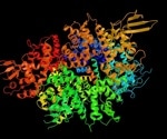 What is an Autoantigen?